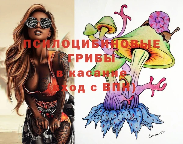 молекула духа Алексеевка