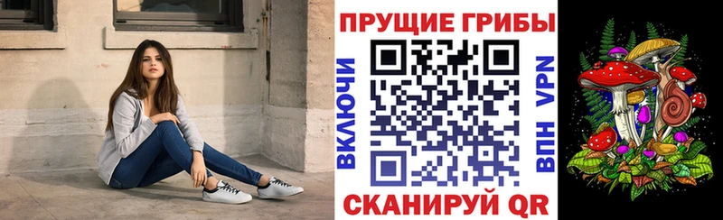 Псилоцибиновые грибы Magic Shrooms  наркошоп  Карабулак 